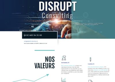 Disrupt Consulting